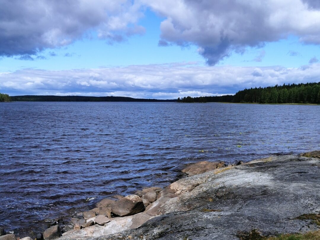Mari-Elina Koivusalo: Toimenpiteet Saaristomeren tilan parantamiseksi puuttuvat edelleen